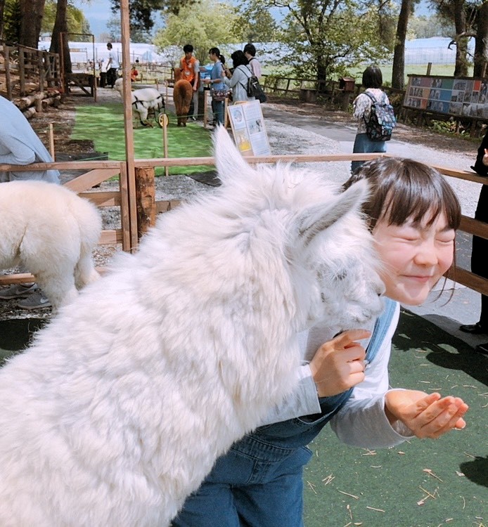 動物とたわむれる西澤さん